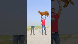 Matching twin brotherr flying body parts vs Eating candy egg amp Catching brown catt funny video😂😀 [upl. by Ojyma]