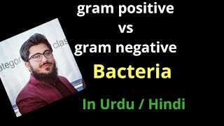 gram positive vs gram negative bacteria comparison  in Urdu hinidi [upl. by Olrac]