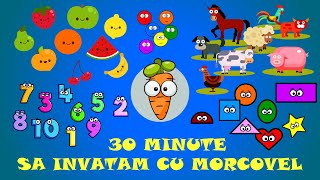 30 Minute Sa invatam cu Morcovel Numerele Culorile Formele Alfabetul Lunile Zilele [upl. by Tova]