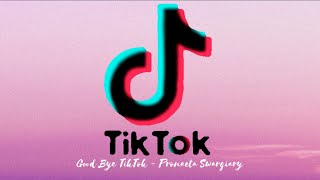 Memories Good Bye TikTok Part 1  PRONEETA SWARGIARY [upl. by Alenas]