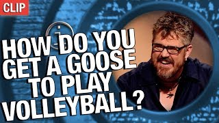 QI  How Do You Get A Goose To Play Volleyball [upl. by Aicenek]