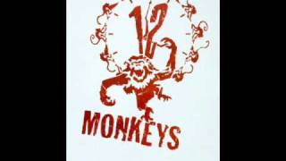 12 Monkeys music theme [upl. by Brinna647]