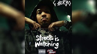 GHerbo  Streets Is Watching  FULL MIXTAPE [upl. by Thurnau390]