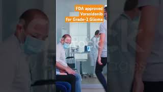 FDA approved vorasidenib grade2 glioma  New Drug for Brain Cancer Treatment [upl. by Lachus835]