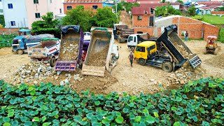 Amazing Process Filling Stones Level Up On Lotus Lake by Komatsu D20P Dozer amp Teams 5Ton Trucks [upl. by Aonian874]