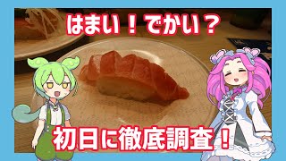 【はま寿司】10月16日スタート！ でかい！はまい！本当にでかい？はまい？潜入調査してきました！【ずんだもん】 [upl. by Cyndi438]