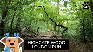 London Highgate Wood Run and Walk in 4K [upl. by Acinomaj995]