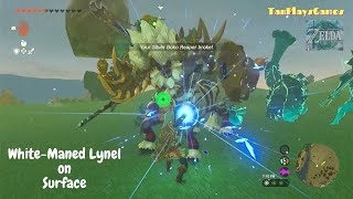 All WhiteManed Lynel on Surface  Zelda Tears of The Kingdom [upl. by Anoit]