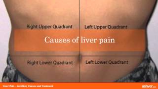 Liver Pain  Location Causes and Treatment [upl. by Arretak568]