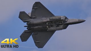 F22 Raptor Weapons Bay Door Pass [upl. by Seedman293]