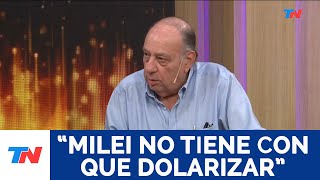 quotMilei no tiene con que dolarizarquot Roberto Cachanosky economista [upl. by Yalcrab]