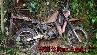 Full Restoration a abandoned Suzuki TS125X Motorcycle [upl. by Basilius]