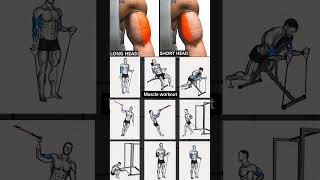 GET RIPPED ARMS WITH THESE POWERFUL EXERCISES Triceps Biceps Tricepsworkout bicepsworkout [upl. by Levona908]