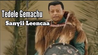 Tedele Gemachu new Afaan Oromoo Sirba Haaraa Sanyii Leencaa 2023 new oromo music [upl. by Starobin]