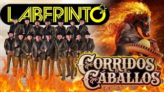 Grupo Laberinto Corridos de Caballos Famosos  Los Mejores Corridos De Caballos De Laberinto Mix [upl. by Svend]