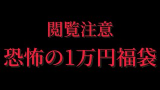 【閲覧注意】新年早々言葉を失う恐怖の福袋開封…これを見て笑って貰えたら幸せです… 検索 ドラゴンボール フィギュア 福袋 一番くじ [upl. by Etnoek]