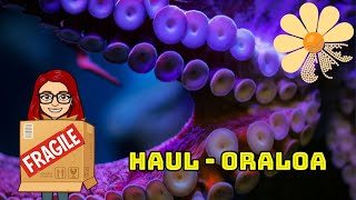 HAUL  Oraloa Nouveauté Yeah ou Neah pixiella [upl. by Ahseken]