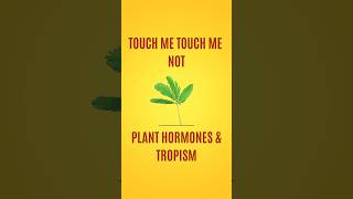 Plant Growth Hormones amp Tropism  Tropic amp Nastic Movement [upl. by Assirat883]