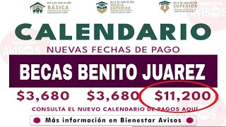 ✅️ Fechas Para recibir BECAS BONITO JUAREZ 📢Calendario Apoyo becas y pensión [upl. by Colner198]