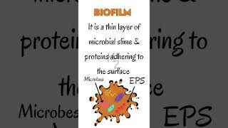 What is a Biofilm in microbiology medzukhruf microbiology biofilm [upl. by Bradly]