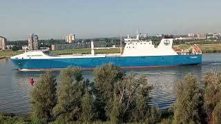 Grootste Schip tot nu toe 😳 NEW AMSTERDAM ContainerCarrier Roro ScheepVaart OudeMaas Rotterdam [upl. by Aneloj]