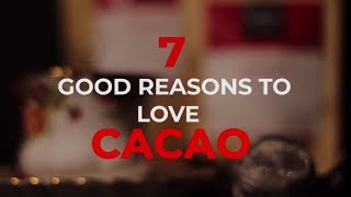 7 Benefits of Cacao [upl. by Thorstein359]