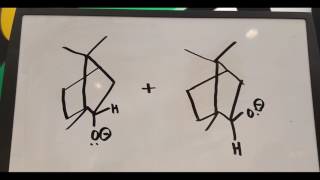 reduction of camphor to borneol and isoborneol v2 [upl. by Keele]