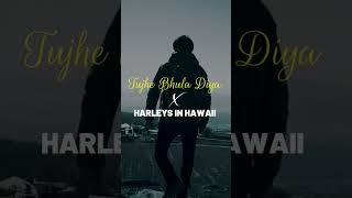 Tujhe Bhula Diya X Harleys In Hawaii  Whatsapp Status  Mashup  Alvin Jax Mashup  LoFi amp Chill [upl. by Nabalas186]