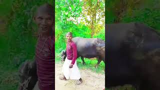 Mucus😄😄😄 prank funny comedy video tranding short viral video funnyvideos [upl. by Scarface]