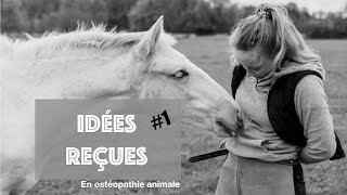 IDEES RECUES SUR LOSTEOPATHIE ANIMALE 1 [upl. by Yrehcaz45]