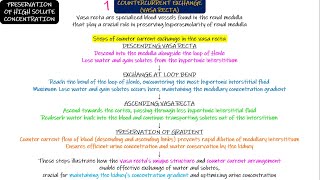 Counter Current Exchange Vasa Recta Chapter 29 part 5 Guyton and Hall Physiology [upl. by Leandre]