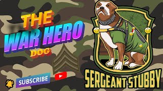 The True Story of Sergeant Stubby WW1 War Hero Dog [upl. by Ortensia456]