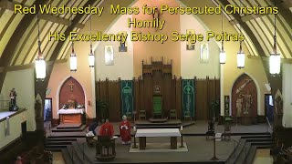 Red Wednesday  Mass for Persecuted Christians  Homily [upl. by Eirok]