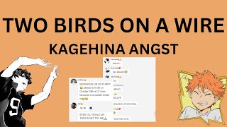 Two Bird On A Wire  KageHina Lyrics  Haikyuu texts  KageHina Angst [upl. by Margaretta825]