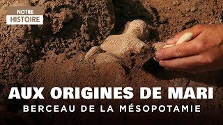 Retour en Mésopotamie  Les Origines de Mari Ville royale  Documentaire Archéologie  AMP [upl. by Hess639]