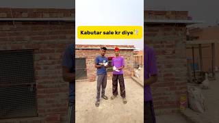 Kabutar sale kr diye🕊️ petlover minivlog pigeonvlogger pigeon kabutar birds sale viralshort [upl. by Adin]