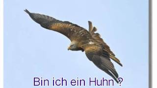 Bin ich ein Huhn   Motivationsgeschichte [upl. by Jephum]