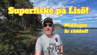 Superfiske på Lisö Middagen är räddad [upl. by Aneehsor]