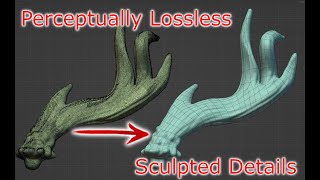 Perceptually Lossless Retopology  Lose no sculpted details  Petik Addon [upl. by Noam611]