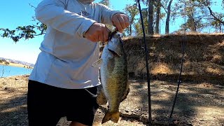 Bass fishing somewhere newsike BOOTY trip 11 back to Lake Berryessa [upl. by Paderna390]