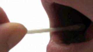 How to take a mouth swab for DNA Paternity Testing [upl. by Aidnahs]