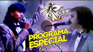 1990  PROGRAMA ESPECIAL  El Pega Pega Pegasso  EN VIVO Monterrey [upl. by Ahtanaram]