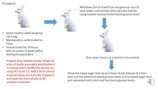 Insulin Hypoglycemic effect in Rabbit [upl. by Schatz862]