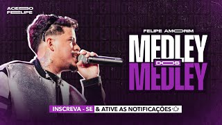 MEDLEY DOS MEDLEY  FELIPE AMORIM MÚSICA NOVA [upl. by Selig]