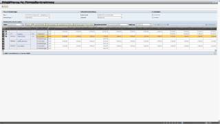 Die neue SAP HCM Personalkosten Detailplanung mit EHP5 [upl. by Merari]
