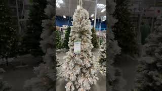 Shop Christmas Trees  At Home Stores [upl. by Cirtemed284]