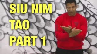 Siu Nim Tao Part 1  WingTsunWing Chun  Sifu Vik Hothi [upl. by Meade]