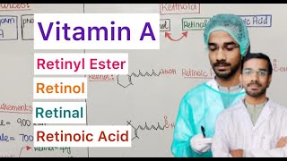 Vitamin A  Retinyl Ester  Retinol  Retinal  Retinoic Acid [upl. by Tallbot]