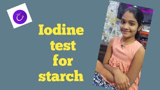 Iodine test for starch Food chemistry [upl. by Eceirahs747]