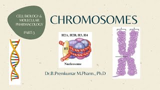 Chromosomes CBMPPart3 [upl. by Tyoh]